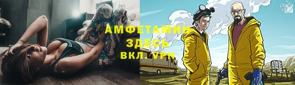 мяу мяу мука Алагир