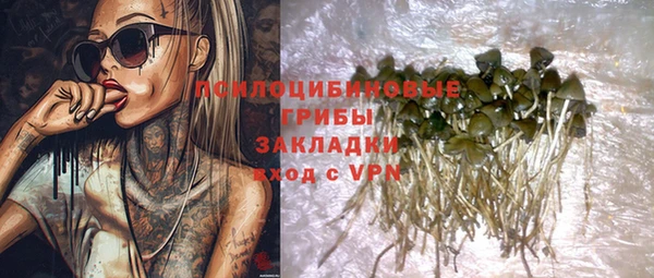 гидропоника Медвежьегорск