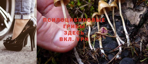 хмурый Медногорск