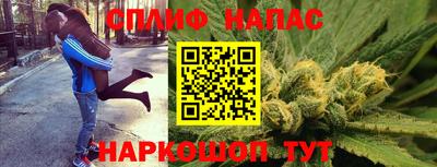 шишки Конаково