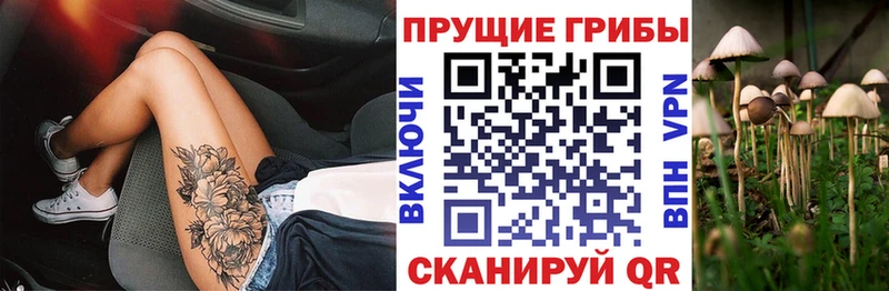 где купить наркоту  Карабулак  Галлюциногенные грибы ЛСД 