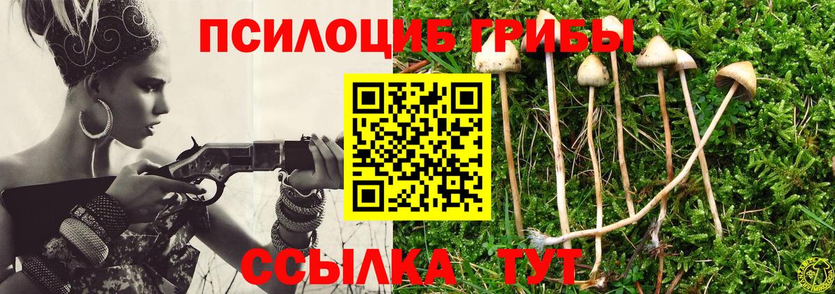 Галлюциногенные грибы мицелий  Карабулак 