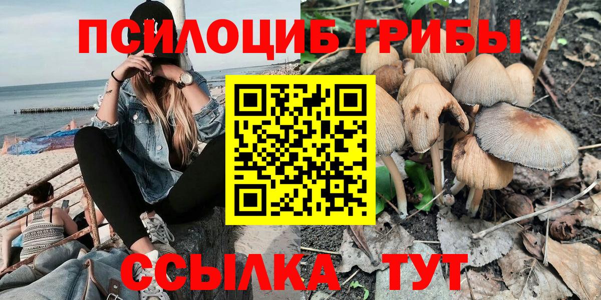 Карабулак  Псилоцибиновые грибы мухоморы  Вход с VPN  закладка  Псилоцибиновые грибы Psilocybine cubensis 