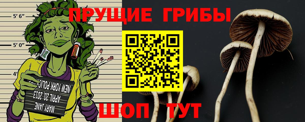 Карабулак  LSD-25  Бошки Шишки  ЛЁД  Хэш  Вход с VPN  МЕФ  НБОМе  Мяу-Мяу 