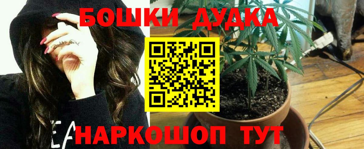 Каннабис ГИДРОПОН Карабулак